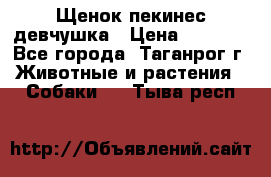 Щенок пекинес девчушка › Цена ­ 2 500 - Все города, Таганрог г. Животные и растения » Собаки   . Тыва респ.